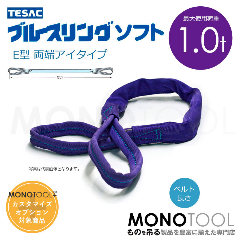 即納日本製 TESAC ブルースリングソフトE形(両端アイタイプ)荷重3.2t 全長2m TBSE3.2TX2M KanamonoYaSan KYS  通販 PayPayモール