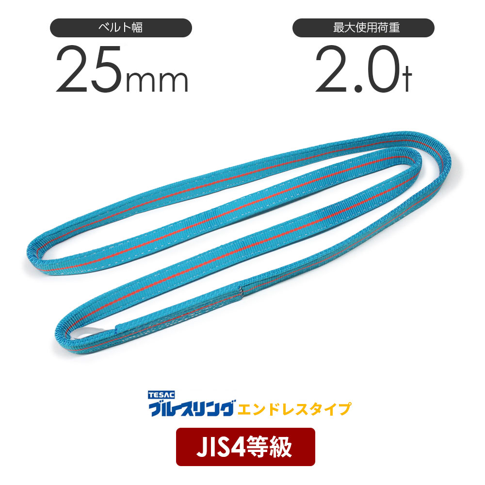 ＴＥＳＡＣ ブルースリングJIS4等級 エンドレス形 幅25mm 長さ3.25m